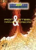 Iron & Steel Market Forecast Febbraio 2005