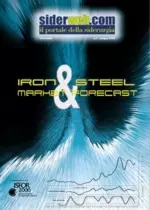 Iron & Steel Market Forecast Giugno 2005
