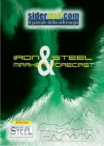 Iron & Steel Market Forecast Settembre 2005