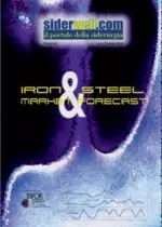 Iron & Steel Market Forecast Dicembre 2005