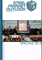 Steel Market Outlook - Speciale 2014