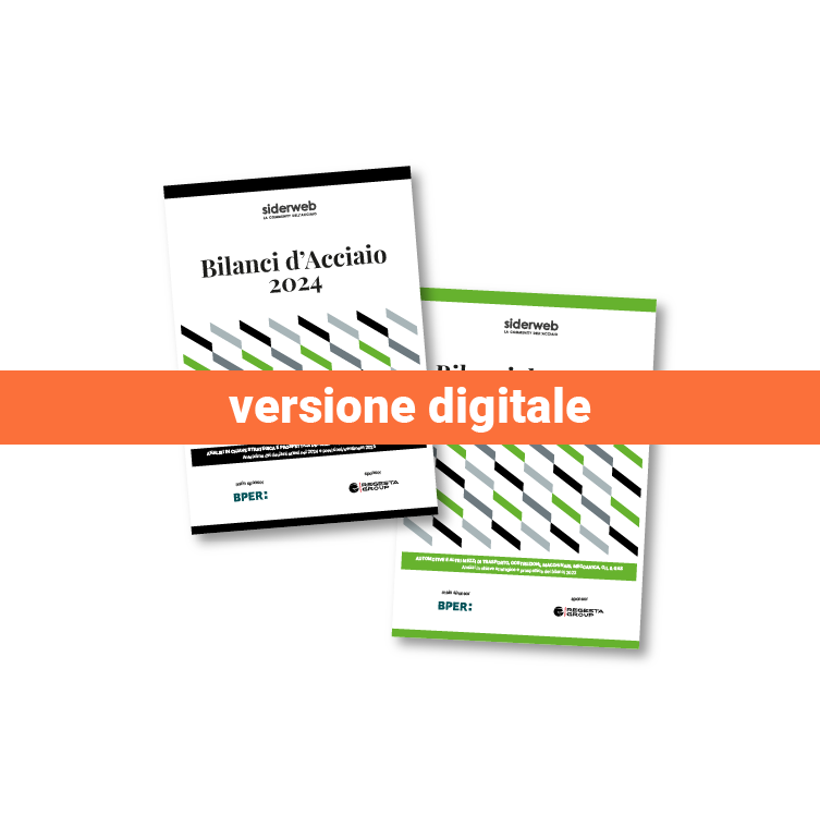 Bilanci d'Acciaio 2024 - Volume I+II // versione digitale